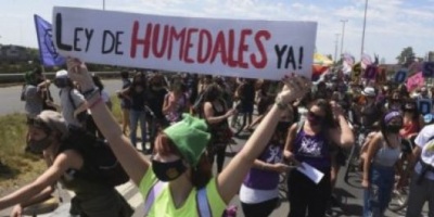  Amnistía Internacional pidió el tratamiento "urgente" de la Ley de HumedalesV