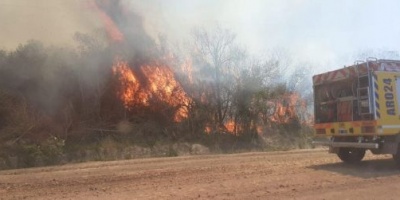 Ardió el Iberá: investigan la quema de 600 hectáreas y los bomberos hacen guardia
